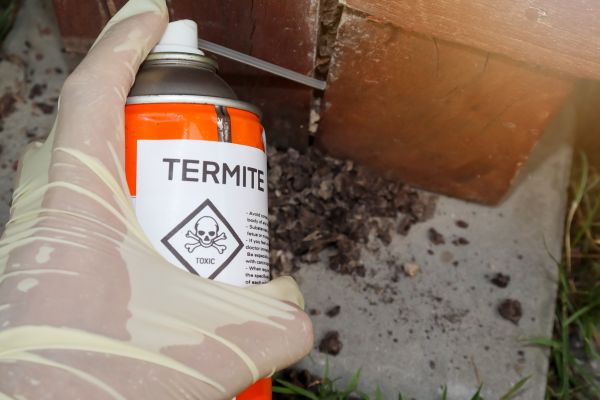 Termite Damage Inspection
