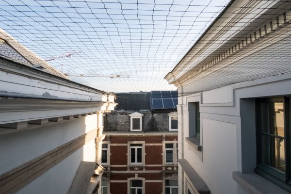 Pigeon Barrier Installation