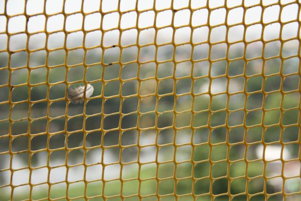 Bird Barrier Netting