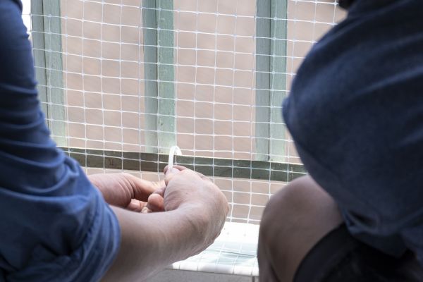 Pigeon Net Installation